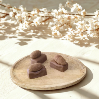Kaneelbalkje melk. Originals collectie Visser chocolade