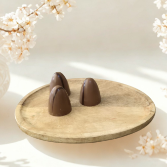 Salty peanut. Original collectie Visser chocolade