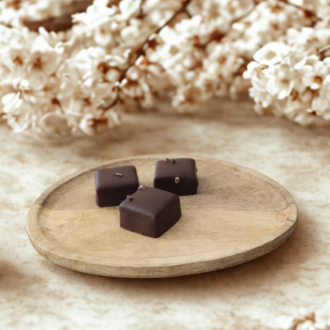 Cacaokernen puur. Originals collectie Visser chocolade