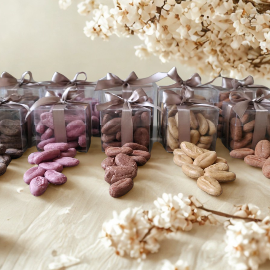 bean to bean assortiment, Visser chocolade
